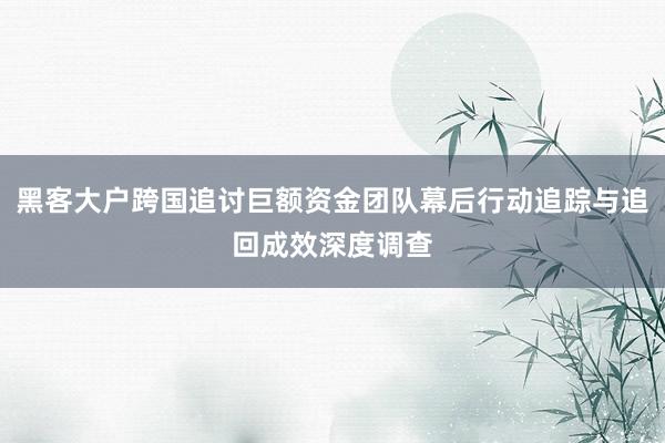 黑客大户跨国追讨巨额资金团队幕后行动追踪与追回成效深度调查
