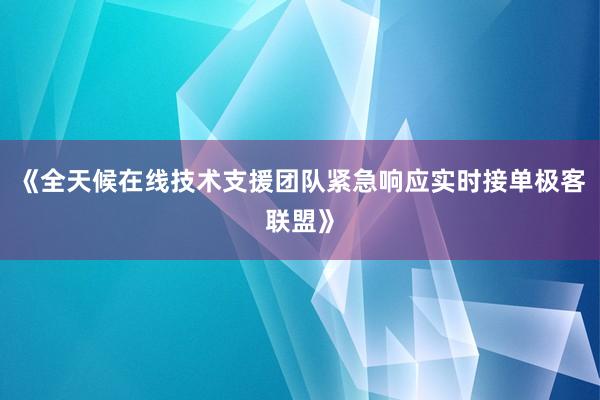 《全天候在线技术支援团队紧急响应实时接单极客联盟》