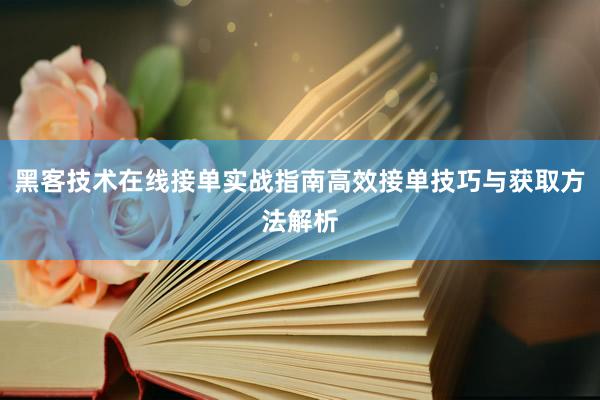 黑客技术在线接单实战指南高效接单技巧与获取方法解析