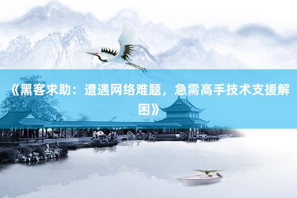 《黑客求助：遭遇网络难题，急需高手技术支援解困》